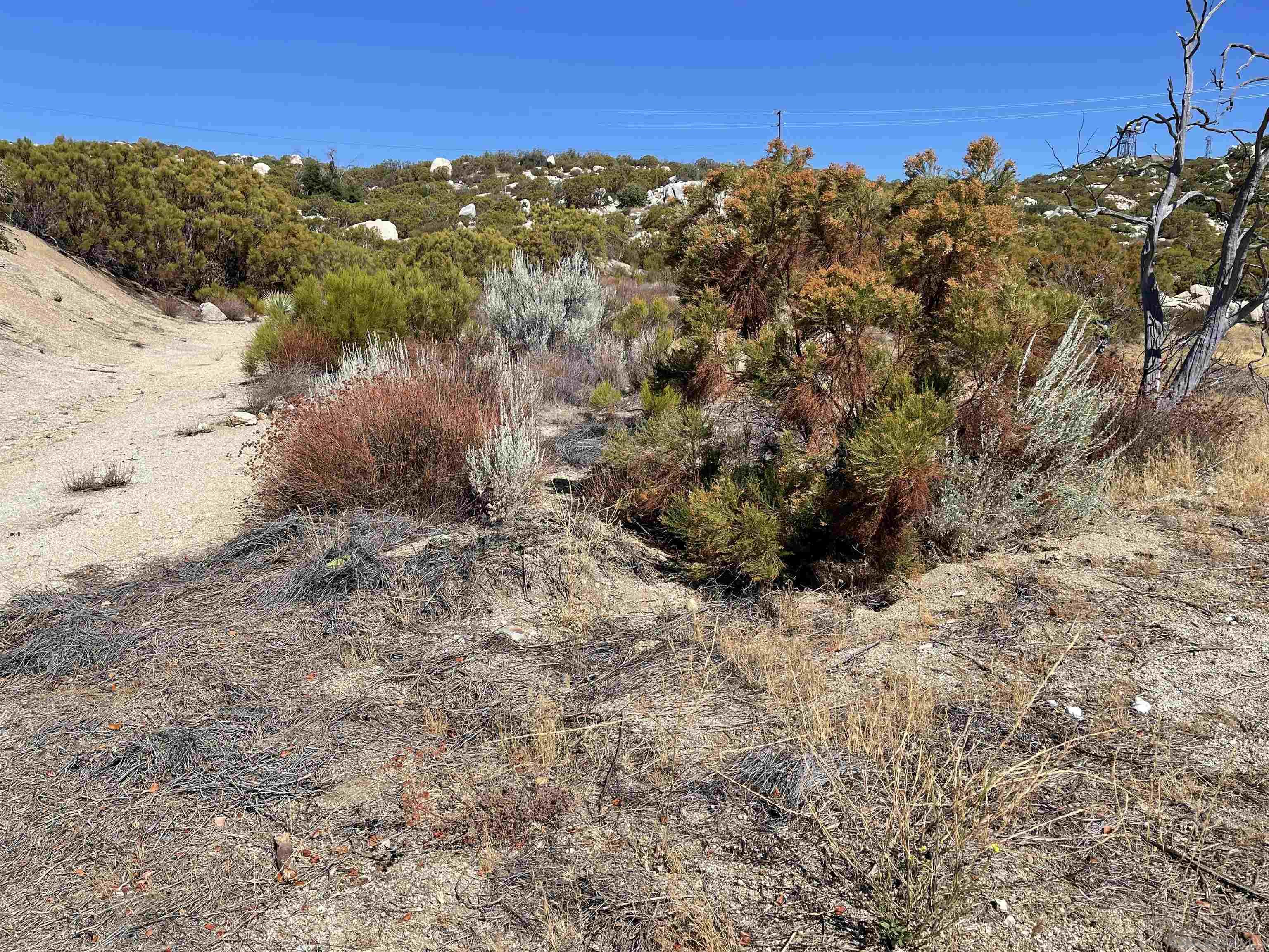 Detail Gallery Image 3 of 6 For , Warner Springs,  CA 92086 - – Beds | – Baths