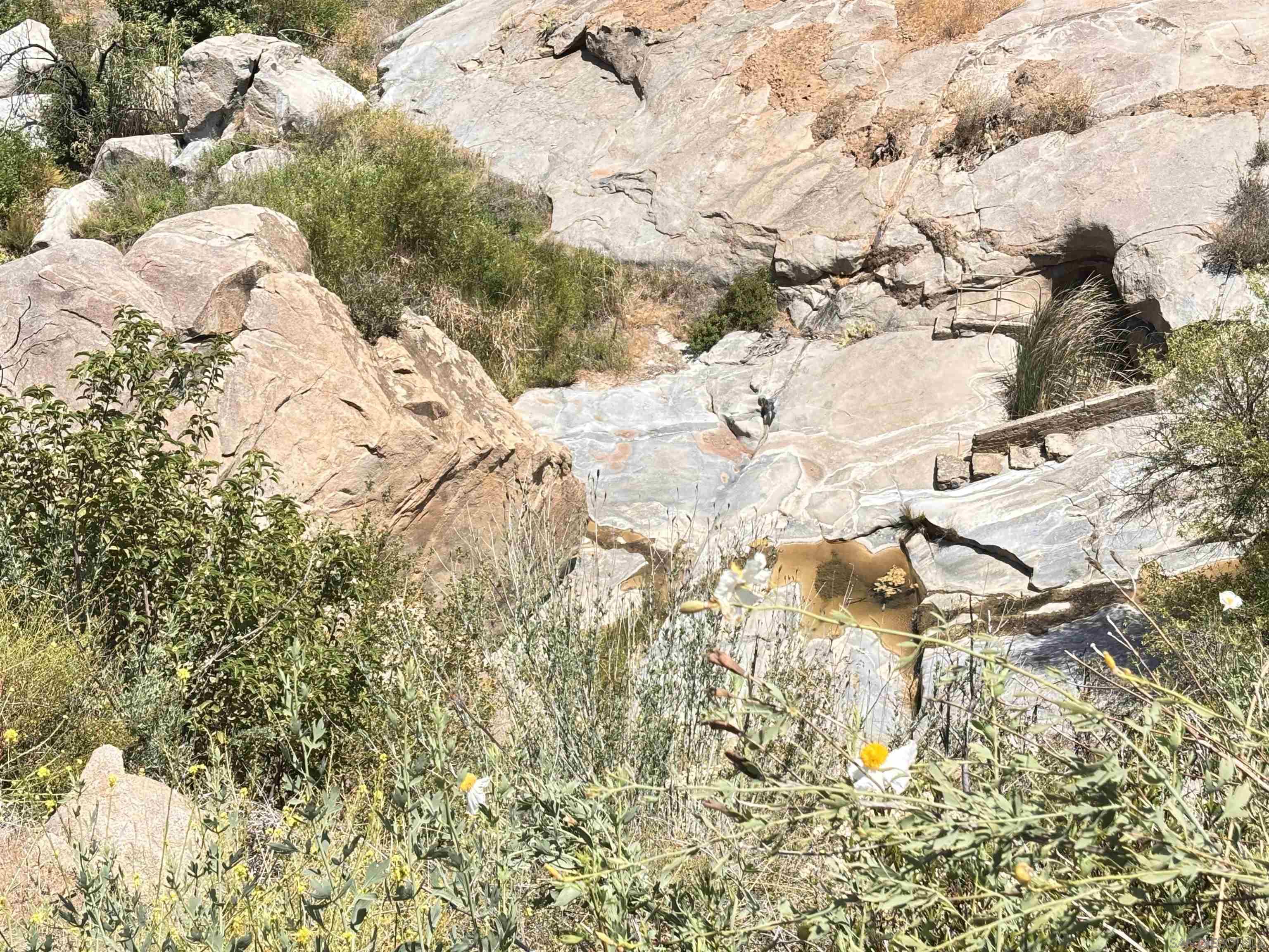 Detail Gallery Image 17 of 18 For , Dulzura,  CA 91917 - – Beds | – Baths