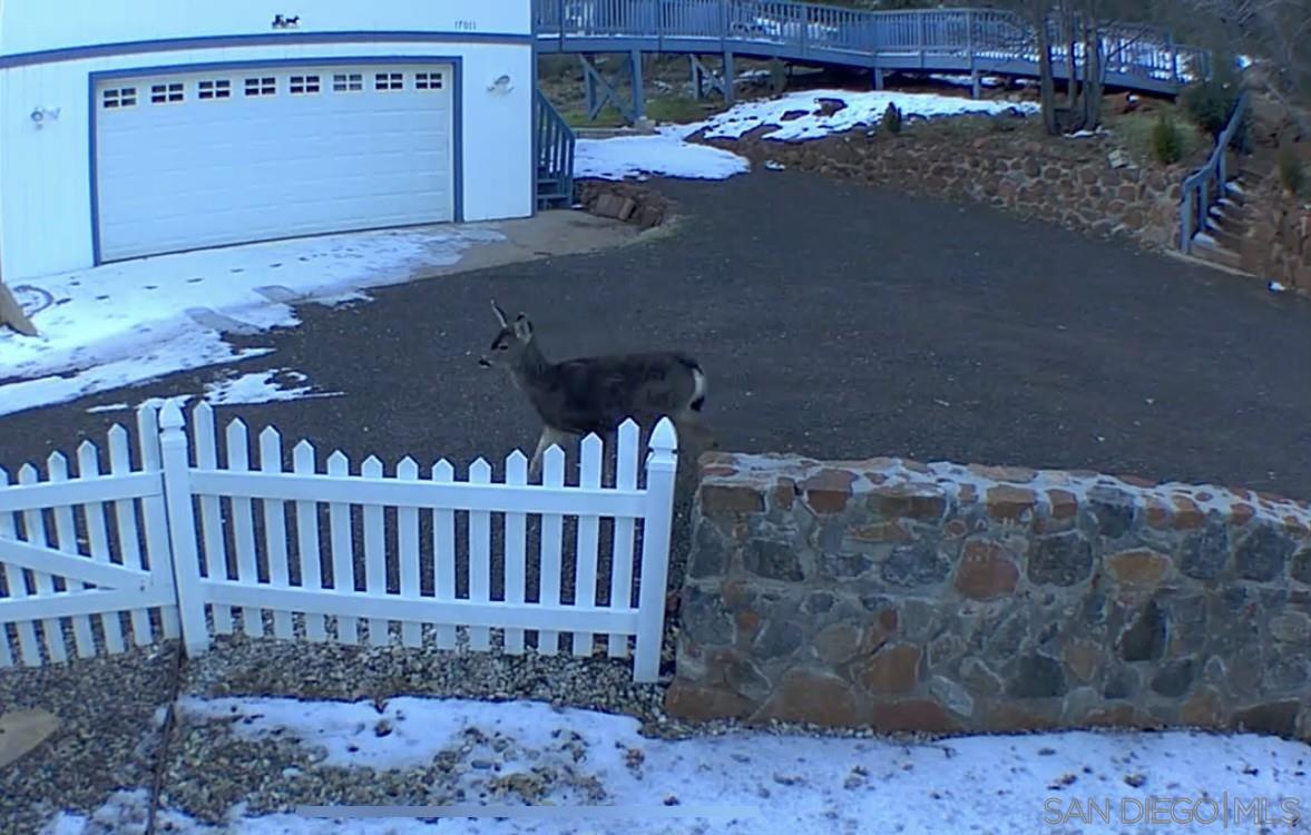 Detail Gallery Image 71 of 71 For 17009  Iron Springs Rd, Julian,  CA 92036 - 5 Beds | 4 Baths