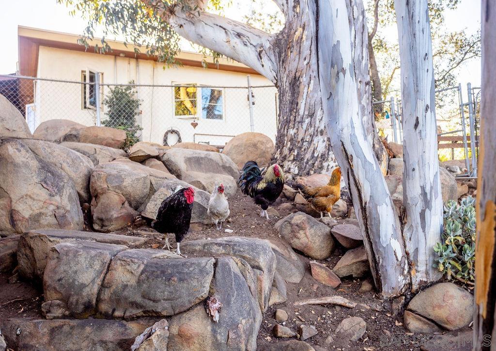 Detail Gallery Image 32 of 53 For 255  Hillside Place, El Cajon,  CA 92021 - 4 Beds | 3/1 Baths