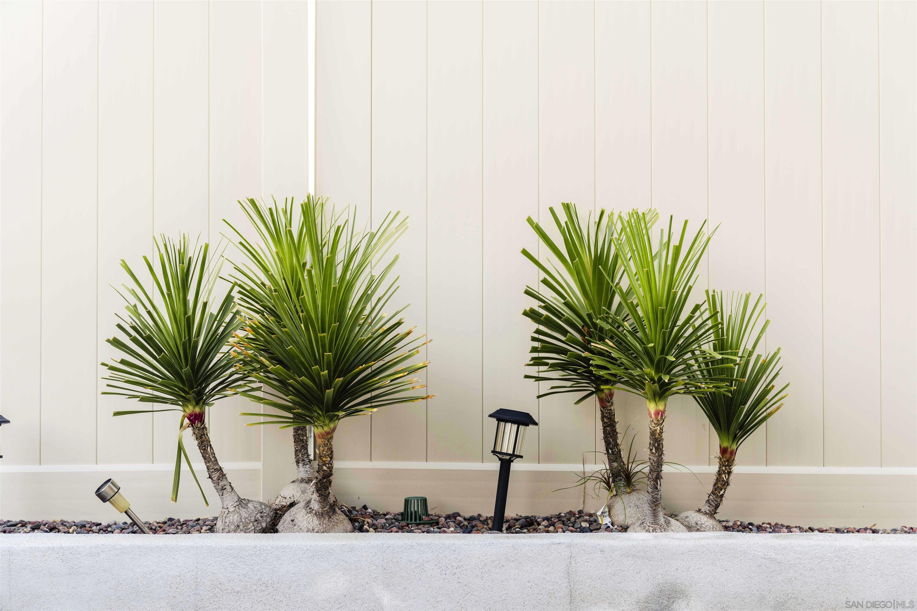 Detail Gallery Image 66 of 73 For 29137  Red Alder, Lake Elsinore,  CA 92530 - 3 Beds | 2/1 Baths