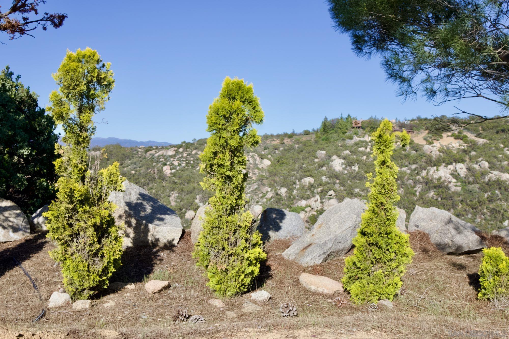 Detail Gallery Image 47 of 63 For 41482  Rocky Ridge Ct., Aguanga,  CA 92536 - 4 Beds | 2 Baths