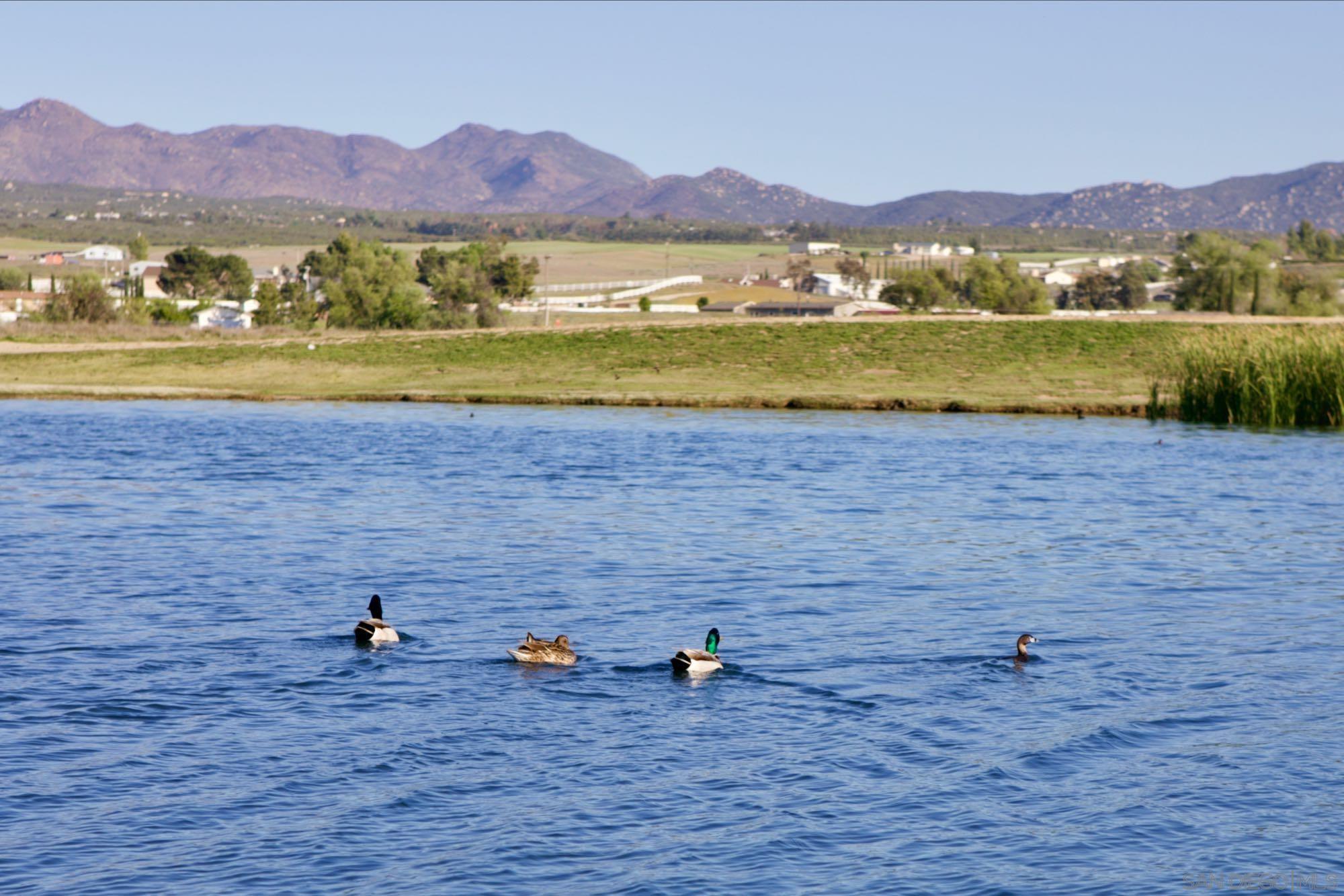 Detail Gallery Image 60 of 63 For 41482  Rocky Ridge Ct., Aguanga,  CA 92536 - 4 Beds | 2 Baths