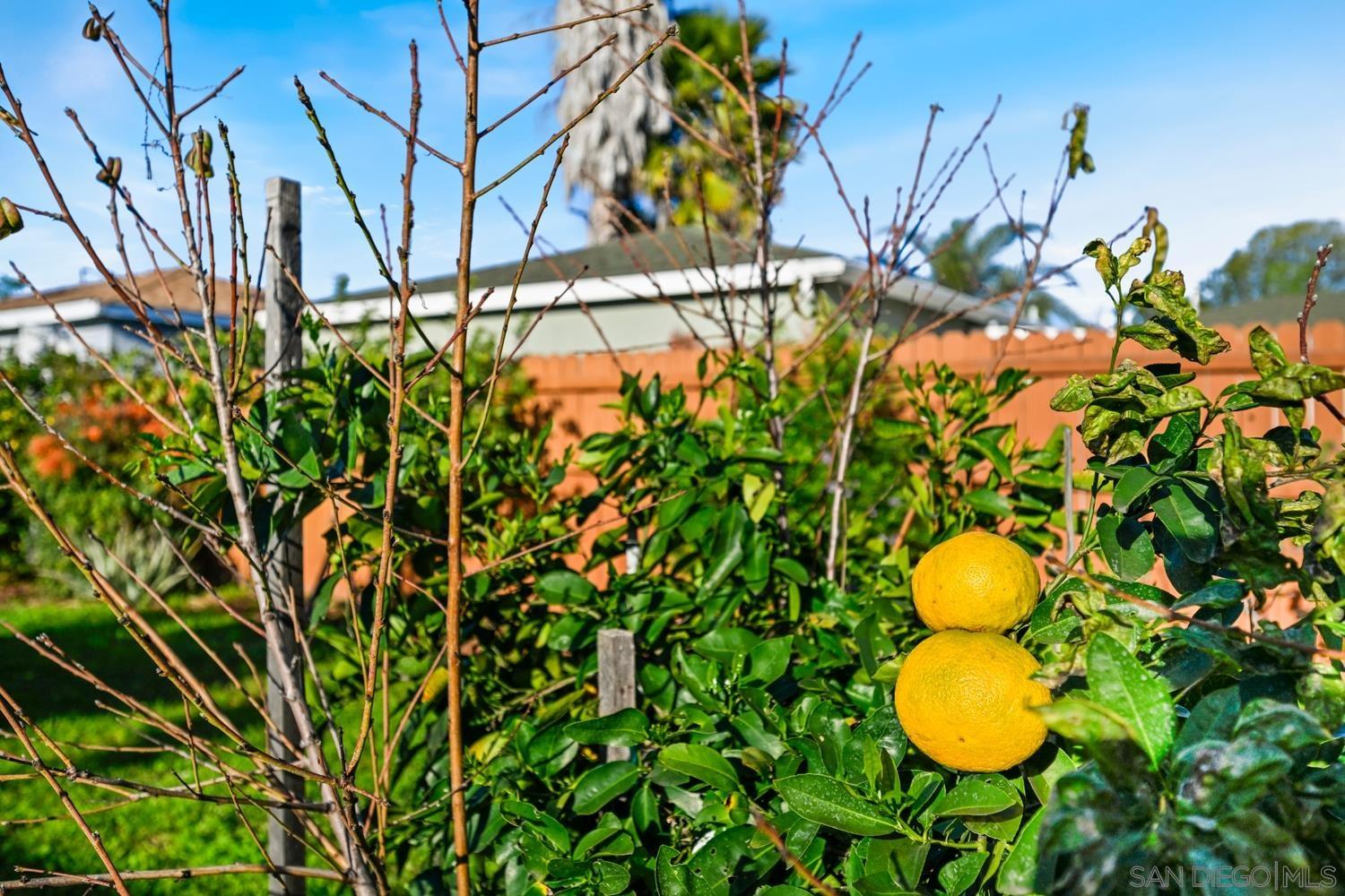 Detail Gallery Image 26 of 28 For 720  Fern St, Escondido,  CA 92027 - 3 Beds | 2 Baths