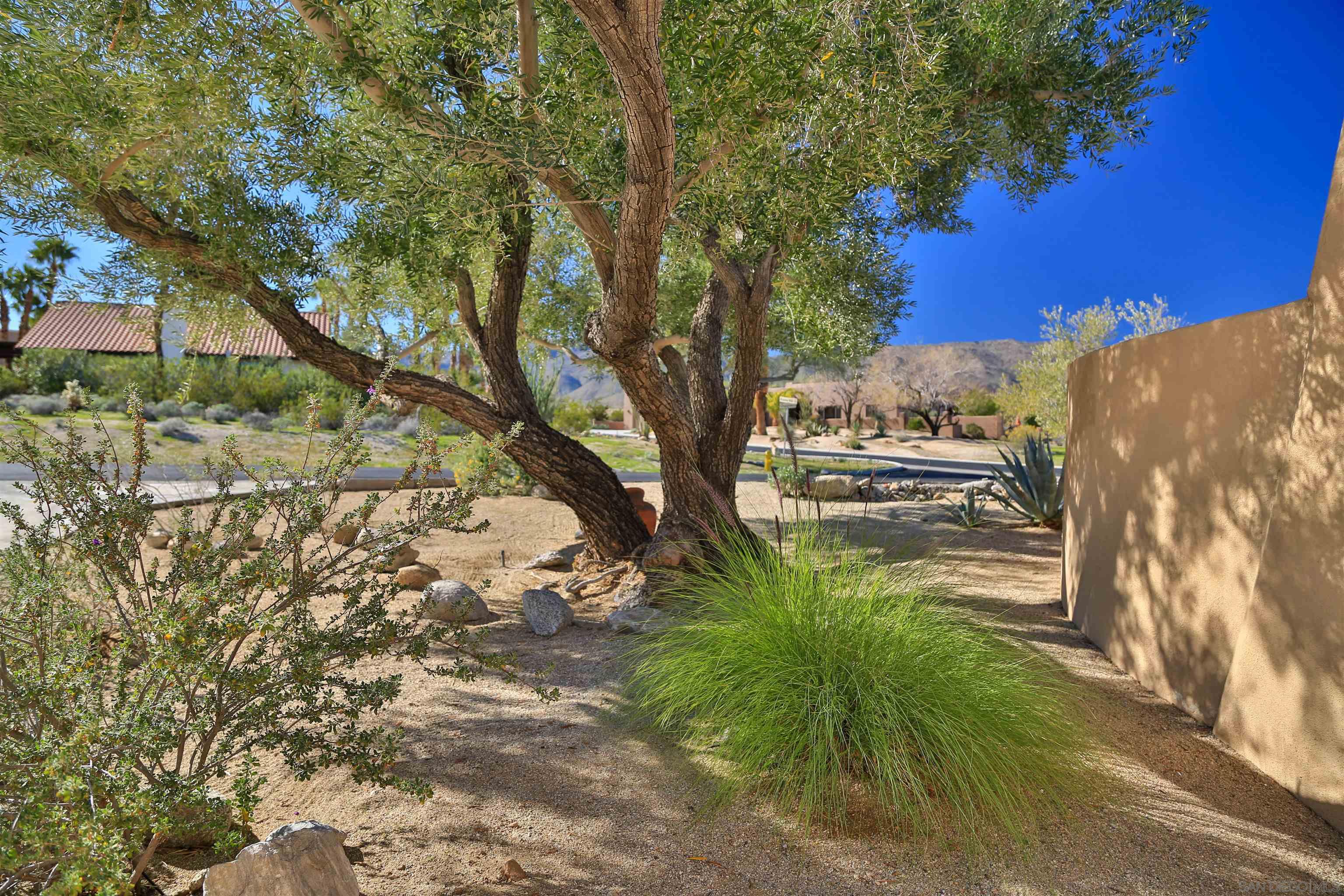 Detail Gallery Image 2 of 42 For 1804  Chuparosa Lane, Borrego Springs,  CA 92004 - 4 Beds | 4 Baths